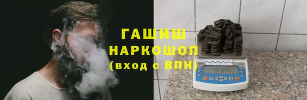 индика Горняк